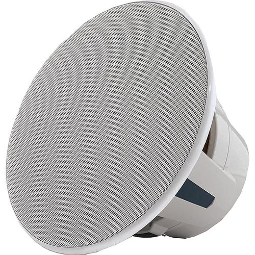 Jl Audio 0100391600 M6 Marine Subwoofer, M6-10Ib-L-Gwsw-4, 10