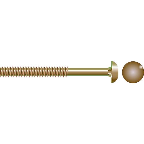 Carriage Bolt, 1/4