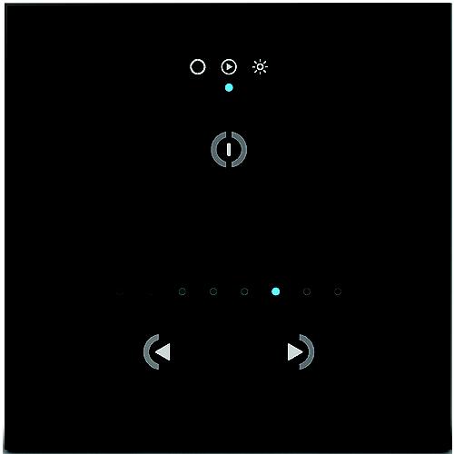 Ocean Led 013003 Dual Blue / White Dmx Touch Panel Controller - 13003 - 812-013003F1