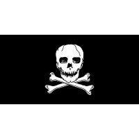 Flying Colours Nylon Jolly Roger Flag, 10
