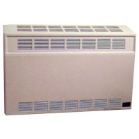 Empire Direct-Vent Wall Furnace, 25,000 Btu W/O Thermostat - Dv25Sglp - 182-Dv25Sglpf1