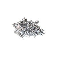 Taylor 96028 Galvanized #6 Nails W/Washers 1/8# 12/Cd - 96028 - 32-96028F1