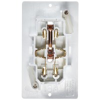 Wht Dual Outlet W/Cov-Plate - S811 - 350-S811F1