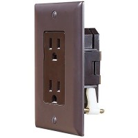 Brwn Dual Outlet W/Cov-Plate Self Contained - S815 - 350-S815F1