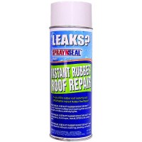 Spray N Seal16 Oz. Disc Rvx - 60030 - 518-60030F1