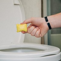 Tst Max Drop-Ins Lemon 10/Bg (E) - 41573 - 17-41573F1