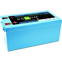 Relion Rb300 Lifepo4 Lithium Iron Phosphate 12V Battery, Group 8D - Rb300 - 569-Rb300F1